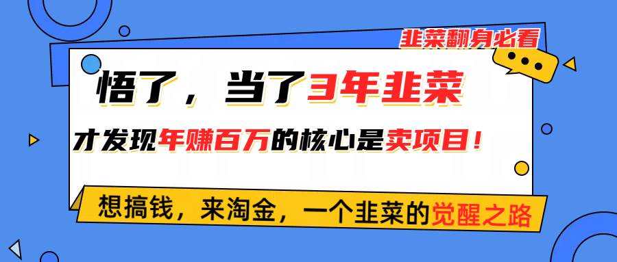 悟了，当了3年韭菜，才发现网赚圈年赚100万的核心是卖项目，含泪分享！-免费网赚资源网