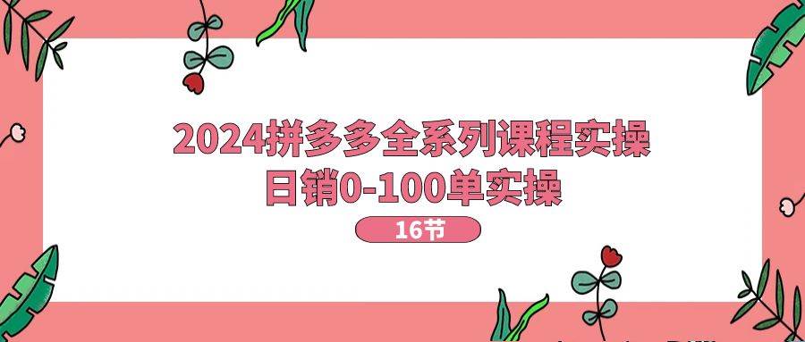 2024拼多多全系列课程实操，日销0-100单实操【16节课】-免费网赚资源网