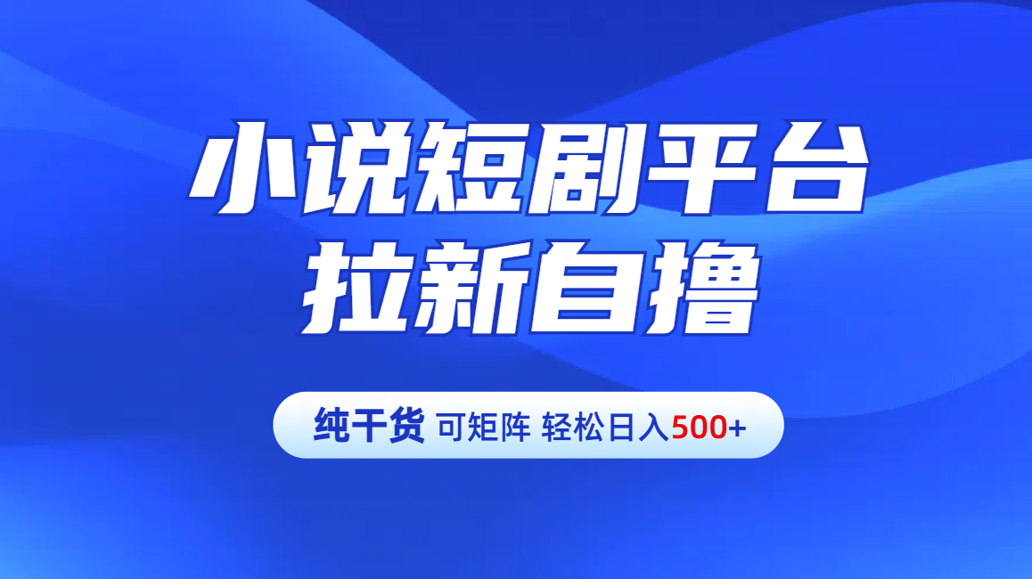 【纯干货】小说短剧平台拉新自撸玩法详解-单人轻松日入500+-免费网赚资源网