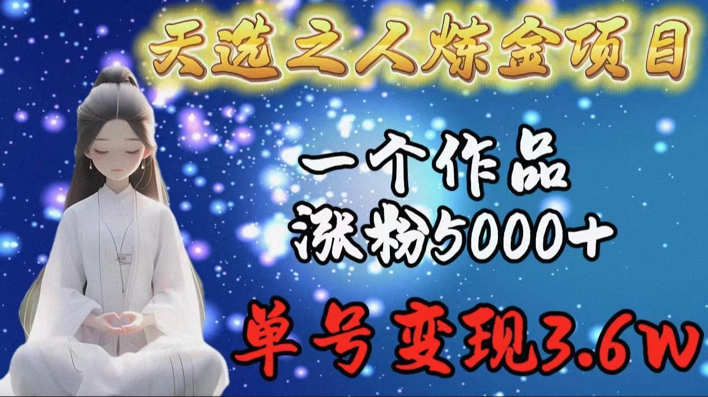 天选之人炼金项目，一个作品涨粉5000+，单号变现3.6w-免费网赚资源网