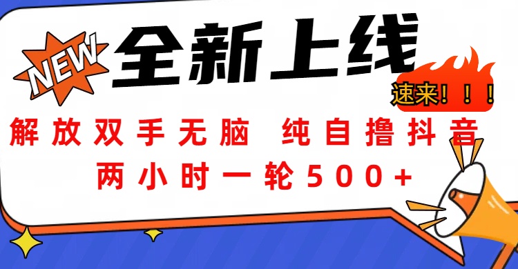 解放双手无脑 纯自撸抖音 两小时一轮500+-免费网赚资源网