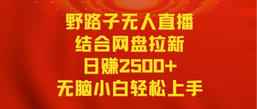 无人直播野路子结合网盘拉新，日赚2500+多平台变现，小白无脑轻松上手操作-免费网赚资源网
