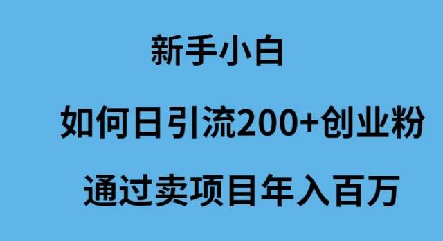 新手小白如何日引流200+创业粉通过卖项目年入百万-免费网赚资源网