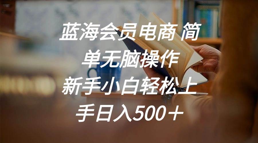 蓝海会员电商 简单无脑操作 新手小白轻松上手日入500＋-免费网赚资源网