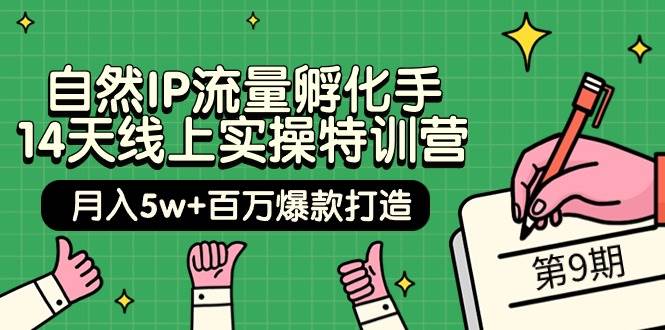 自然IP流量孵化手 14天线上实操特训营【第9期】月入5w+百万爆款打造 (74节)-免费网赚资源网