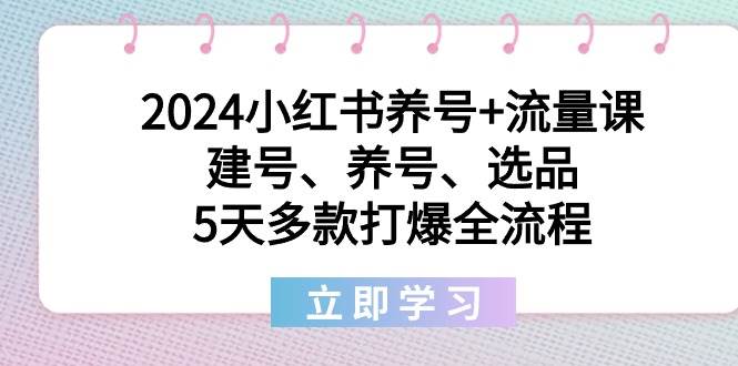 2024小红书养号+流量课：建号、养号、选品，5天多款打爆全流程-免费网赚资源网