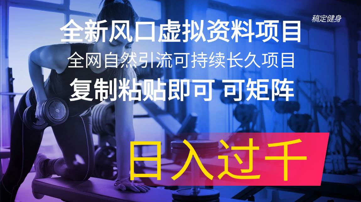 全新风口虚拟资料项目 全网自然引流可持续长久项目 复制粘贴即可可矩阵…-免费网赚资源网