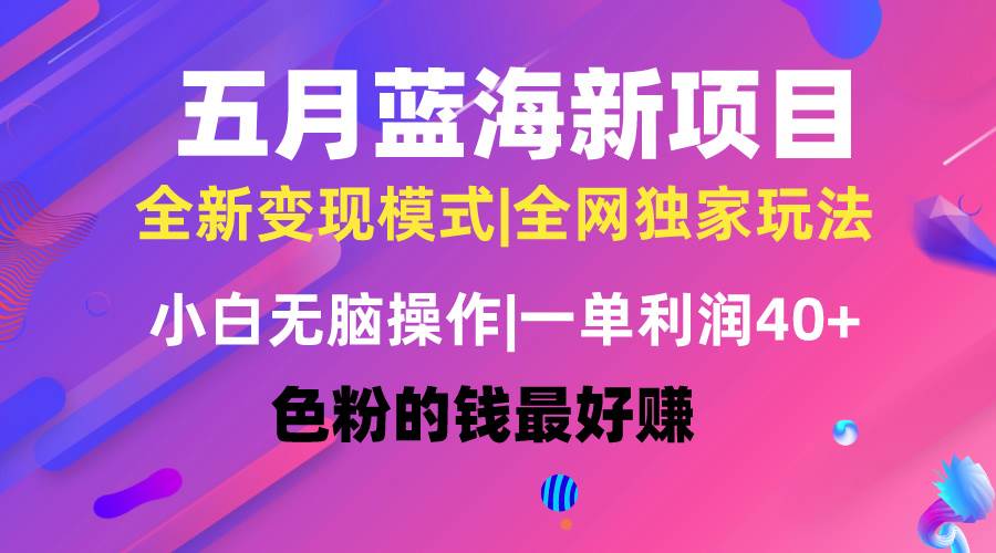 五月蓝海项目全新玩法，小白无脑操作，一天几分钟，矩阵操作，月入4万+-免费网赚资源网
