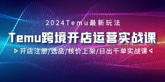 2024Temu跨境开店运营实战课，开店注册/选品/核价上架/日出千单实战课-免费网赚资源网