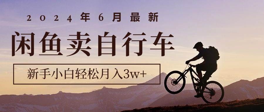 2024年6月最新闲鱼卖自行车，新手小白轻松月入3w+项目-免费网赚资源网