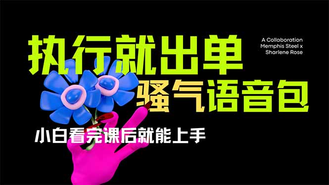 爆火全网的开车导航骚气语音包,只要执行就出单，小白看完课程就能实操…-免费网赚资源网